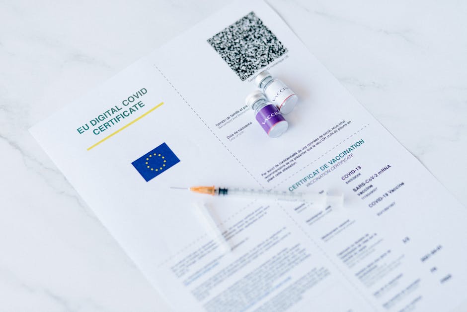 EU Health Innovation Programs to Watch in 2026